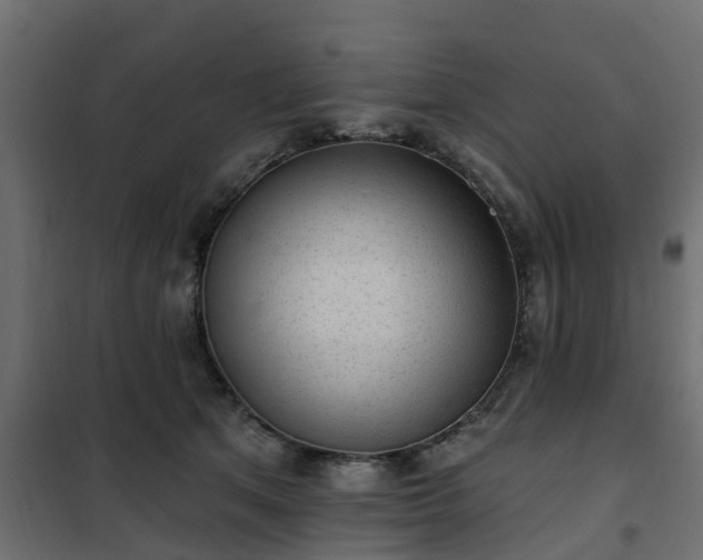 X0000102350513200808081157