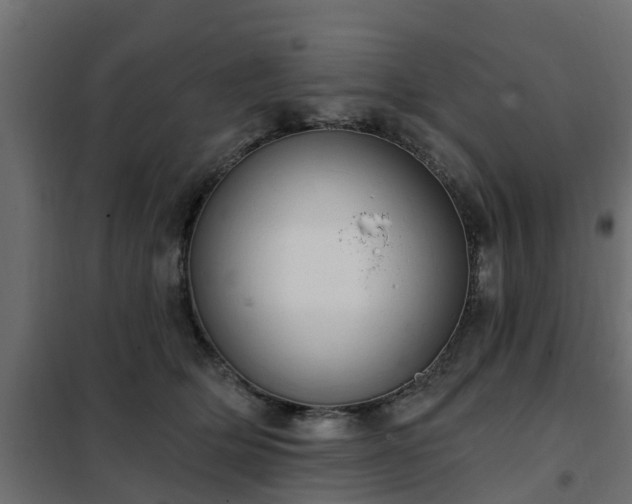 X0000102350514200808081157