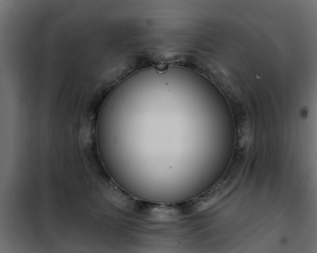 X0000102350515200808081157