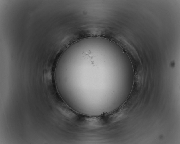 X0000102350516200808081157