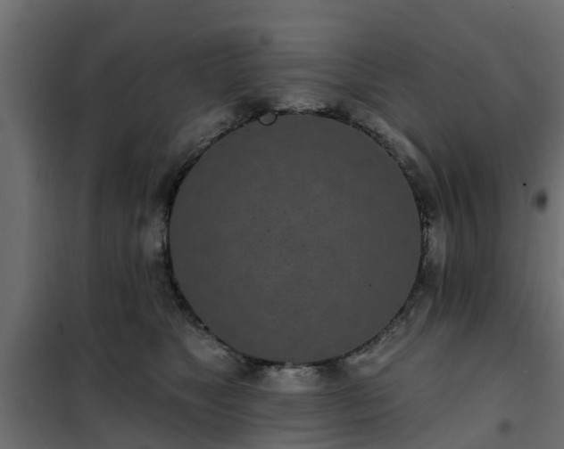 X0000102350517200808081157