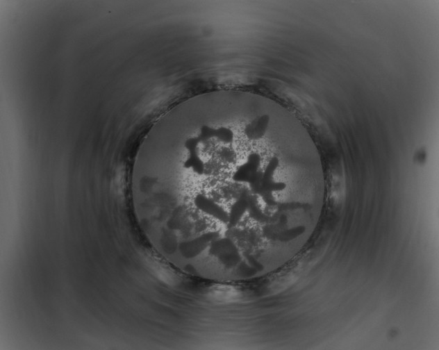 X0000102350519200808081157