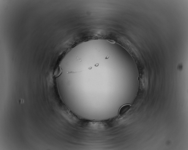 X0000102350520200808081157