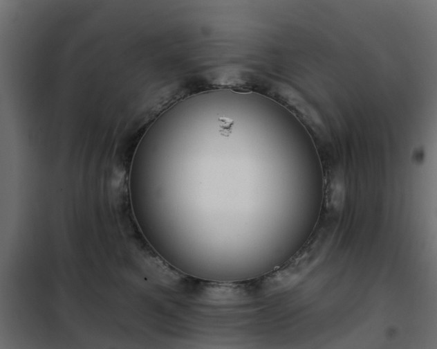 X0000102350521200808081157