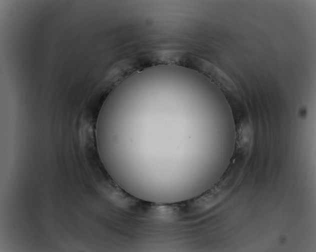 X0000102350522200808081157