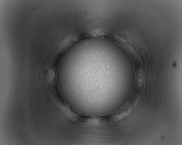 X0000102350523200808081157