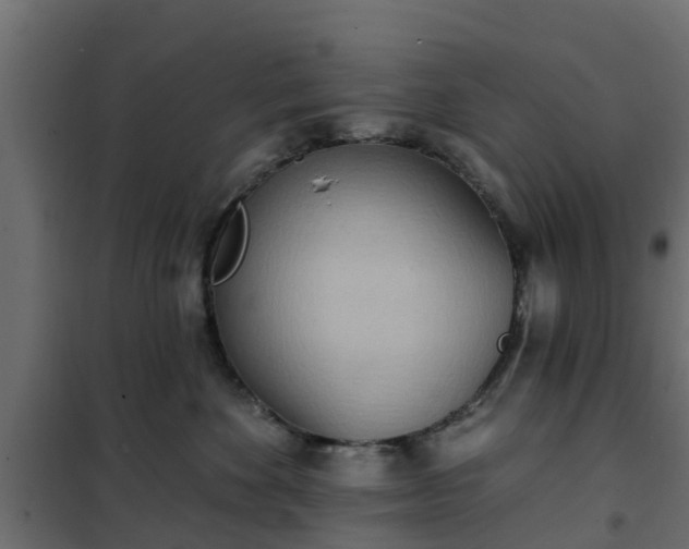 X0000102350524200808081157