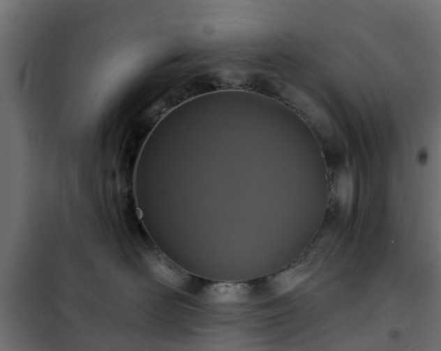 X0000102350526200808081157