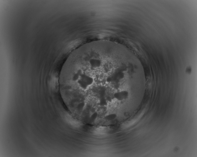 X0000102350527200808081157