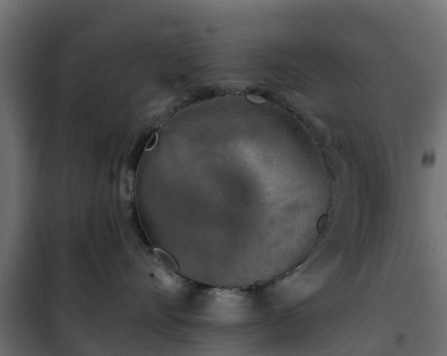 X0000102350528200808081157