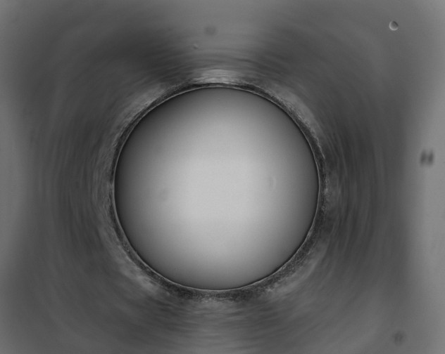 X0000102350529200808081156