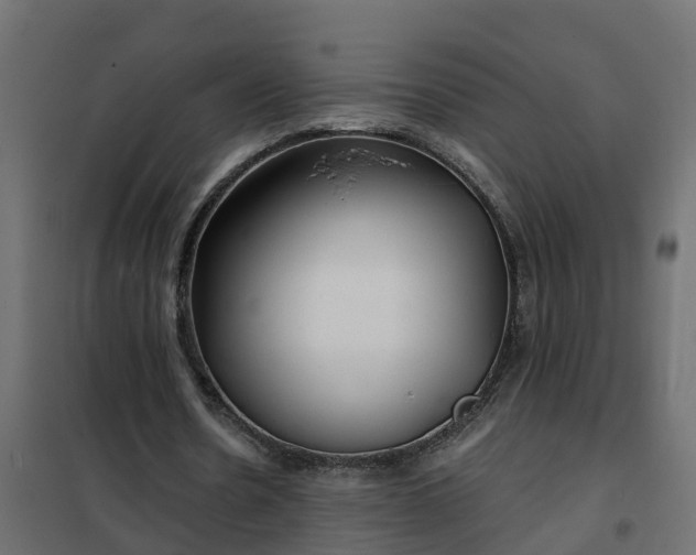 X0000102350530200808081156