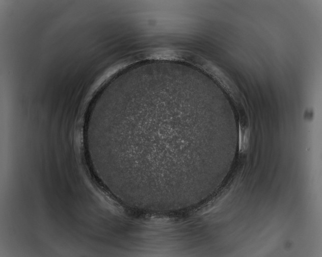 X0000102350531200808081156