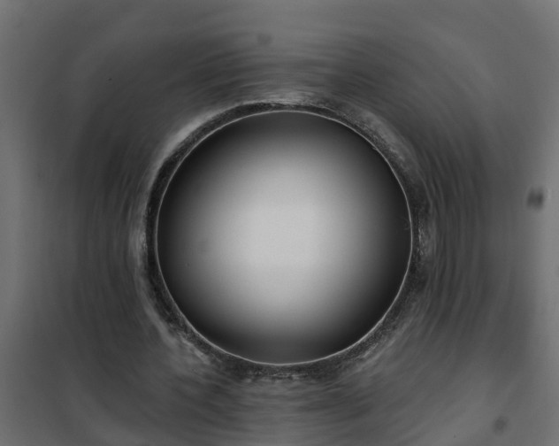 X0000102350532200808081156