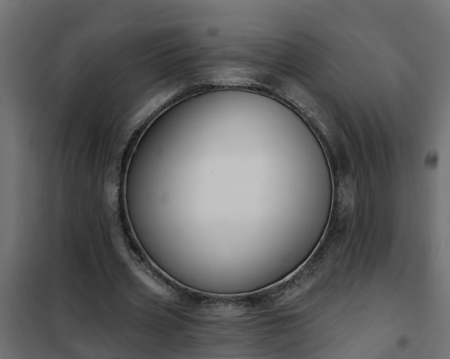 X0000102350533200808081156