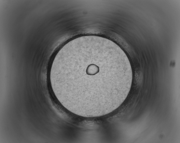 X0000102350534200808081156