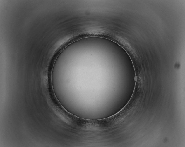 X0000102350535200808081156