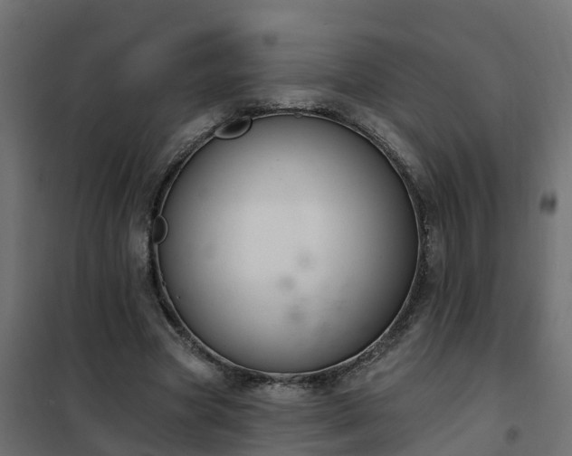 X0000102350537200808081156