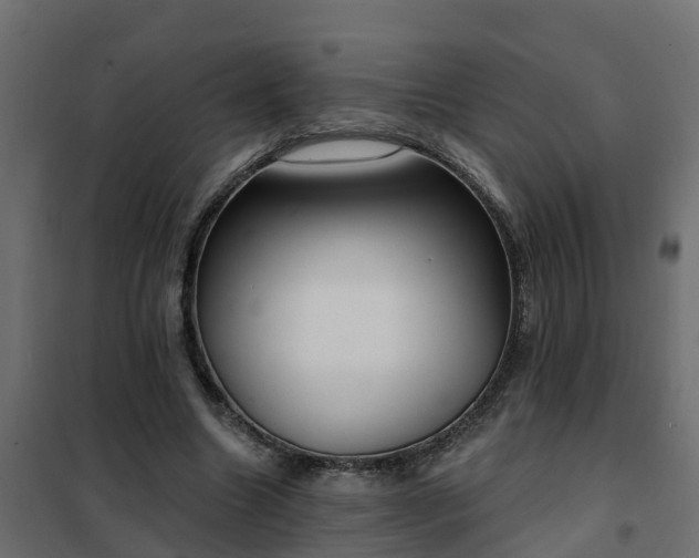 X0000102350538200808081157