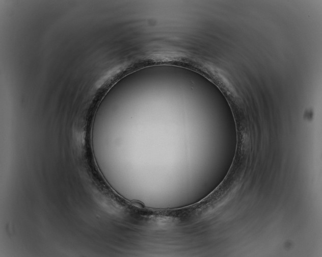 X0000102350539200808081157