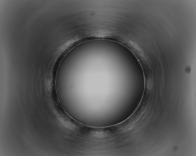 X0000102350540200808081157