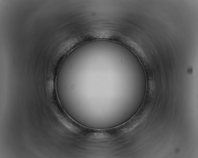 X0000102350541200808081157