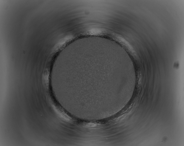 X0000102350542200808081157