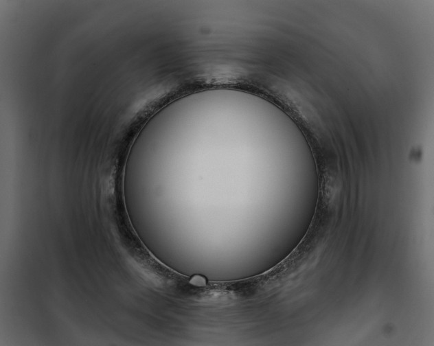 X0000102350543200808081157