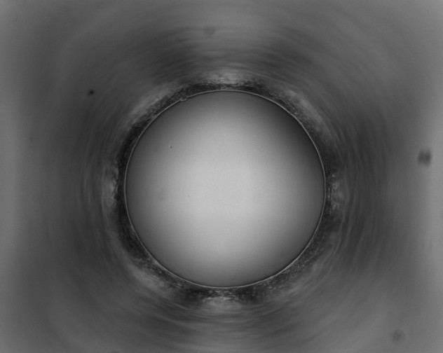 X0000102350544200808081157