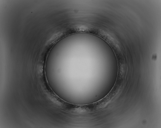 X0000102350545200808081157