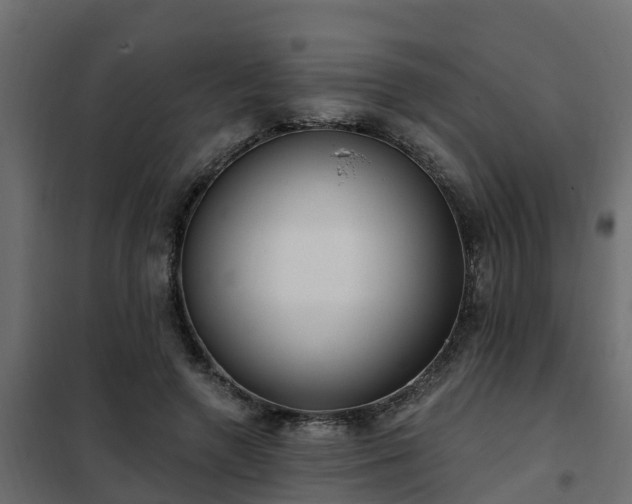 X0000102350546200808081157