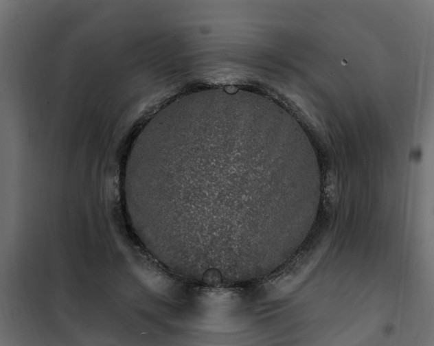 X0000102350547200808081157