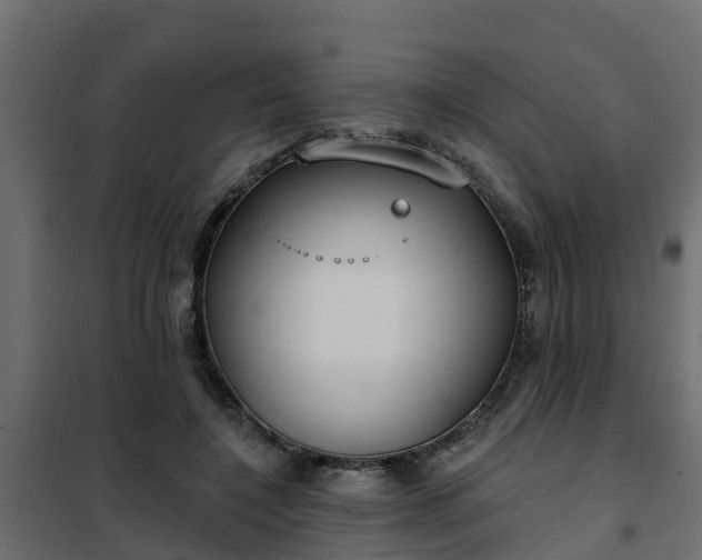 X0000102350548200808081157