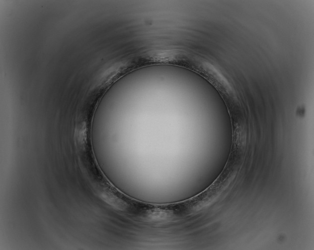 X0000102350549200808081157