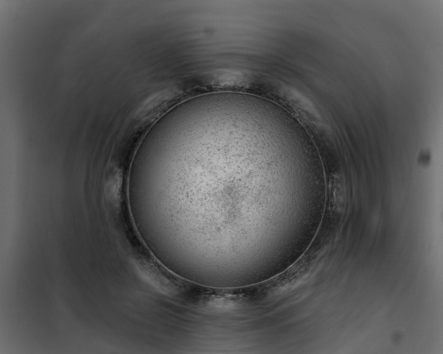 X0000102350550200808081157