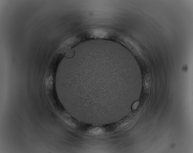 X0000102350551200808081157