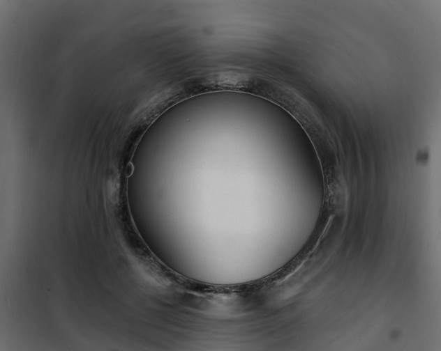 X0000102350552200808081157