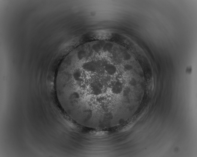 X0000102350553200808081157