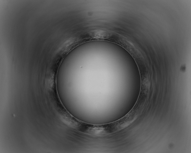 X0000102350554200808081157