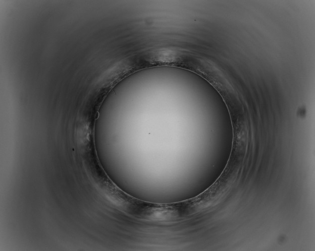 X0000102350555200808081157