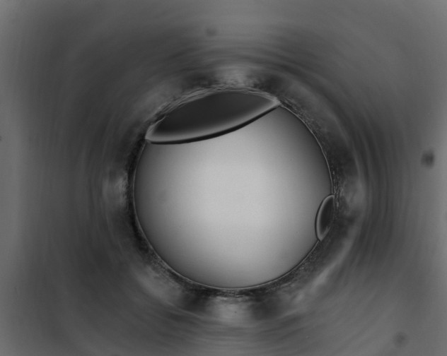 X0000102350556200808081157