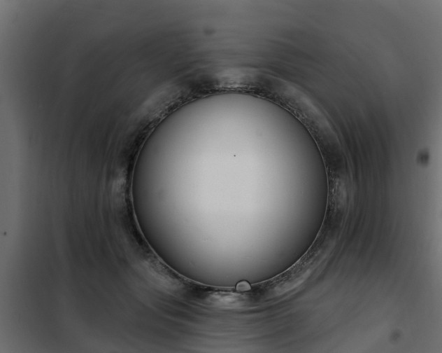 X0000102350557200808081157