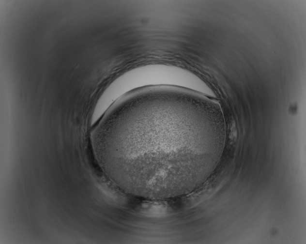 X0000102350559200808081157