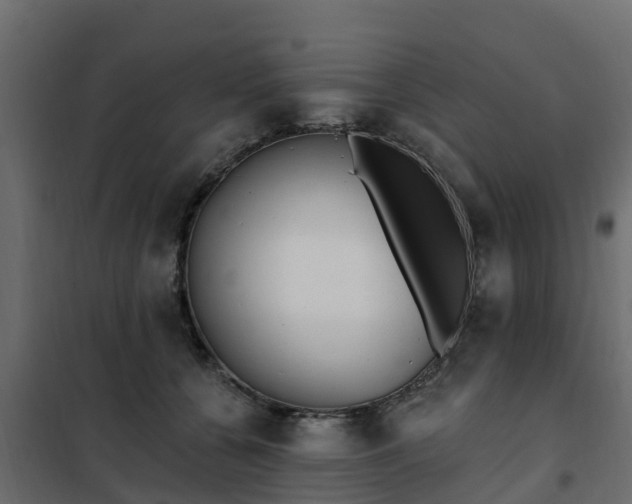 X0000102350560200808081157