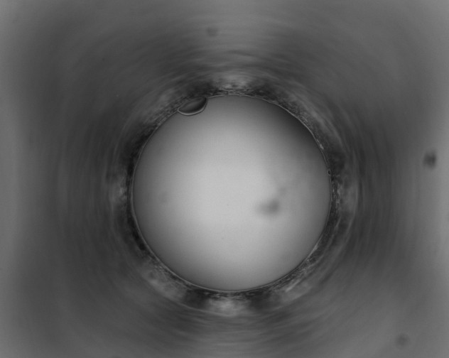 X0000102350561200808081157