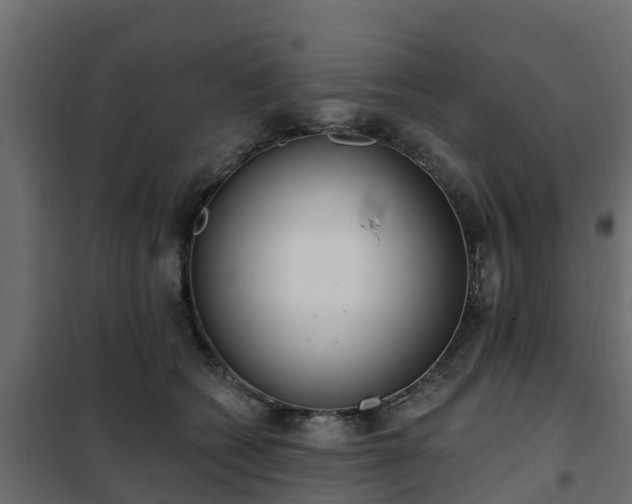 X0000102350562200808081157