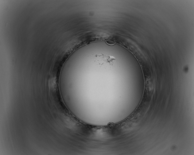 X0000102350564200808081157