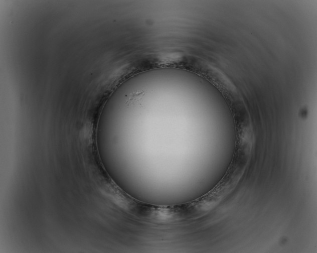 X0000102350565200808081157