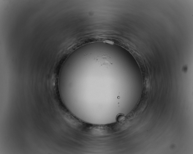 X0000102350567200808081157