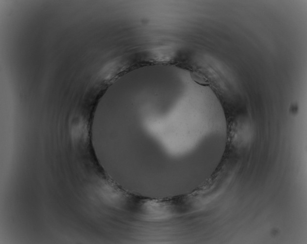 X0000102350568200808081157